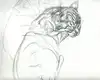le-chat-2_10083736874_o.jpg