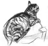 le-chat_11986679216_o.jpg