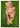 unborn---oil-on-canvas_15492368935_o.jpg