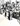 IMG_7114.jpeg